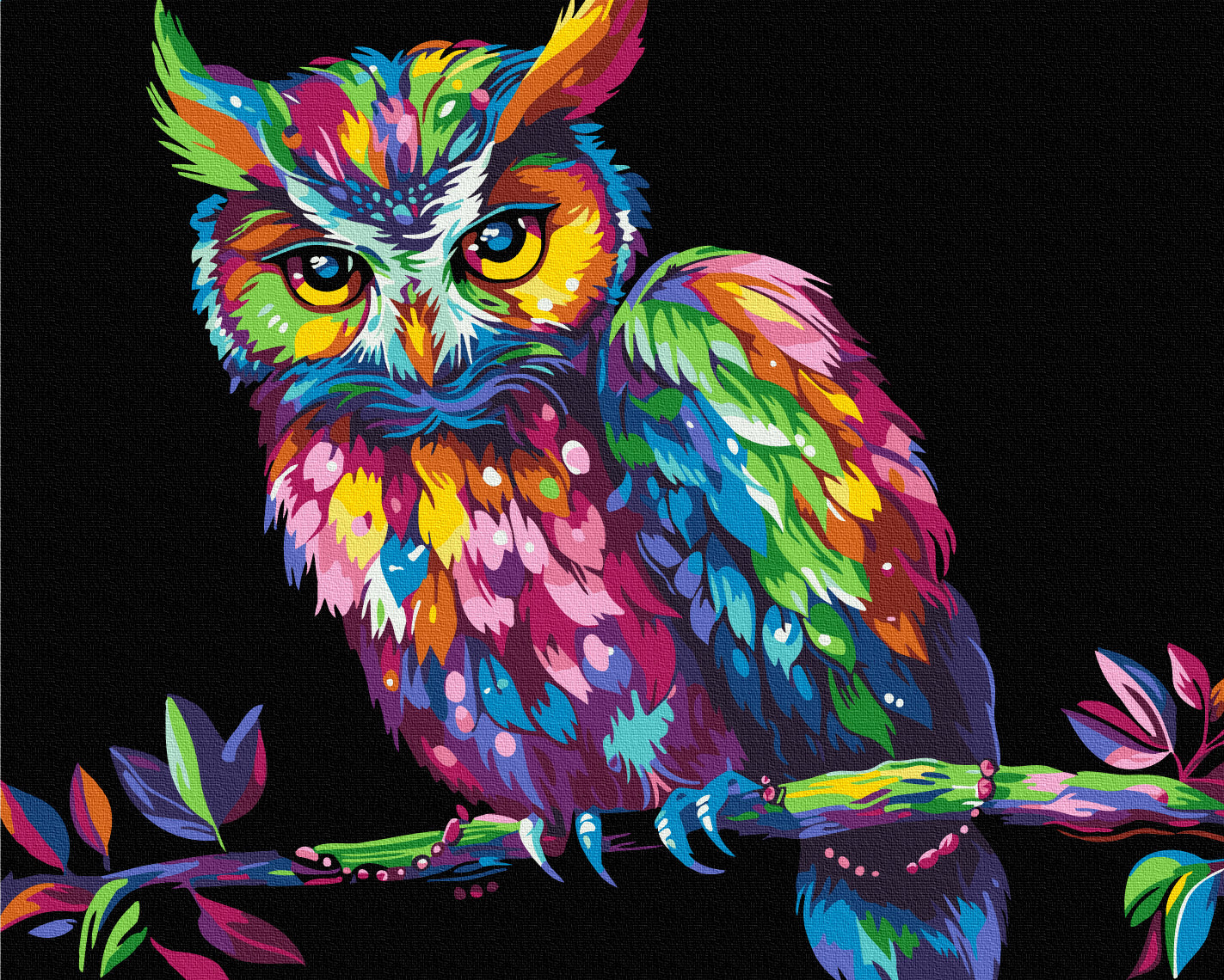 Maalaa numeroin Paint by numbers Color Wisdom