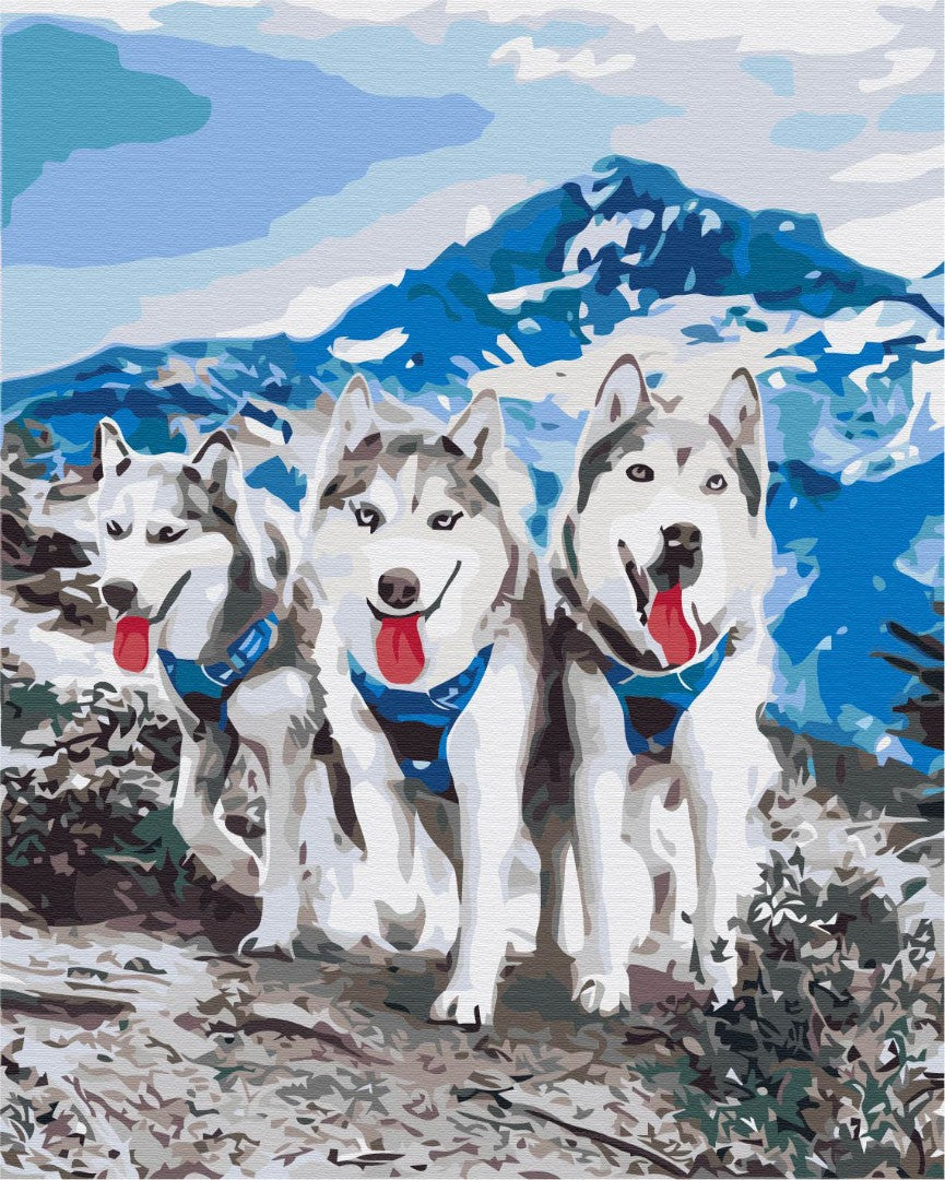 Maalaa numeroin Paint by numbers Husky friends