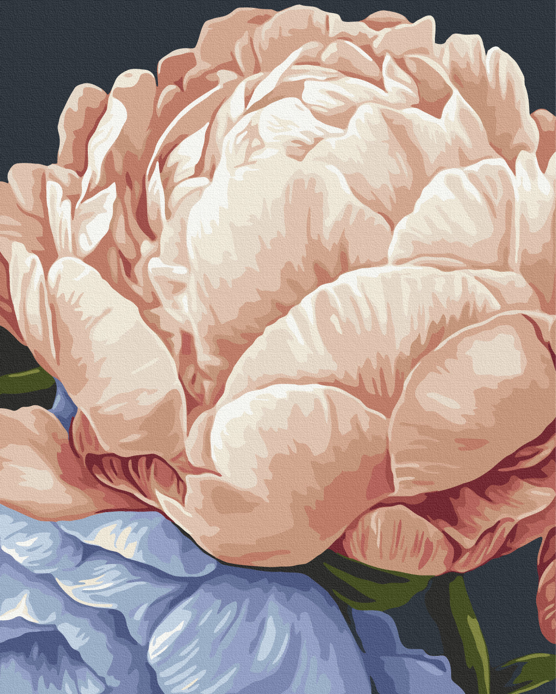 Maalaa numeroin Paint by numbers Peace in flowers © Anastasia Alyokhina