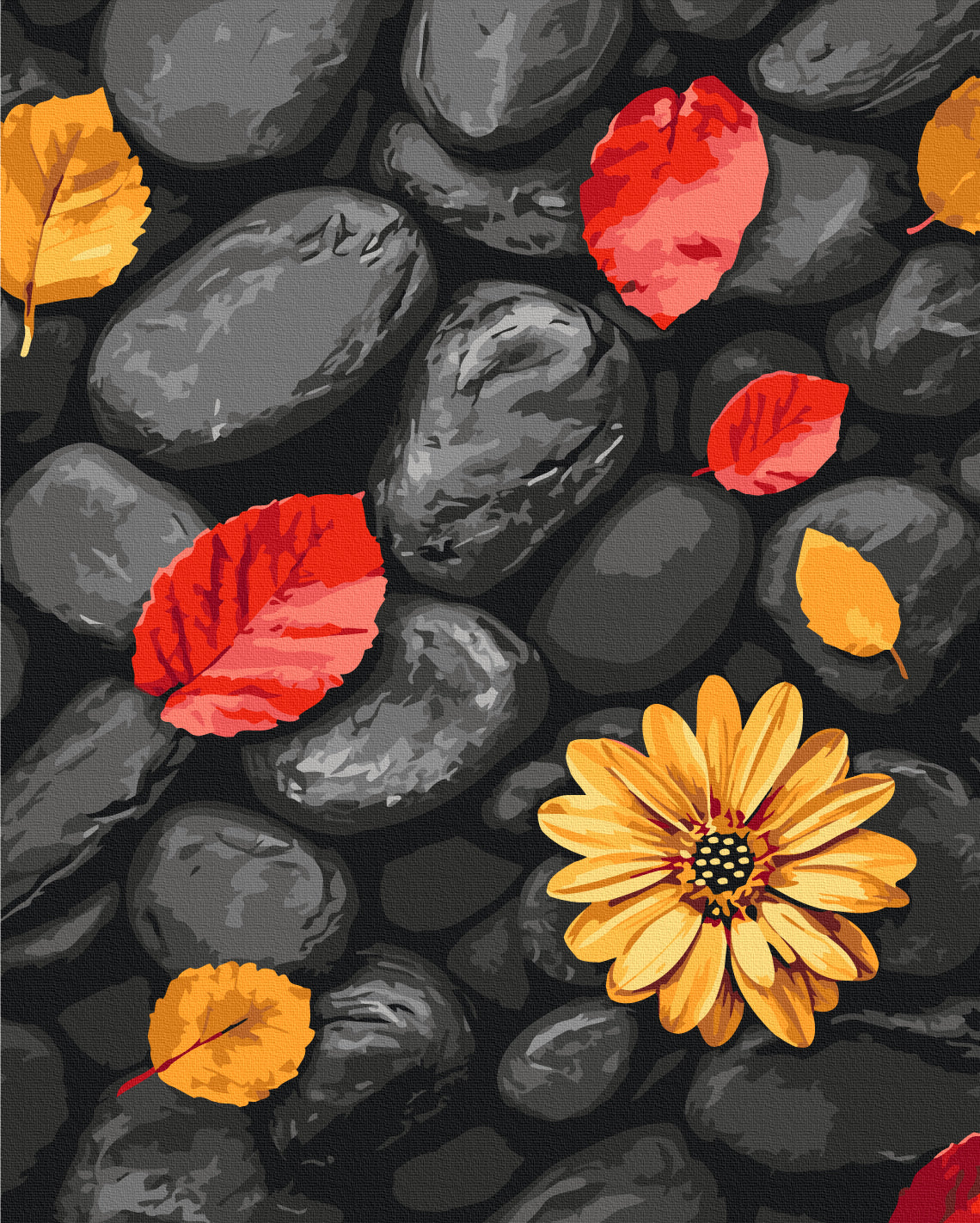 Maalaa numeroin Paint by numbers Leaves on stones