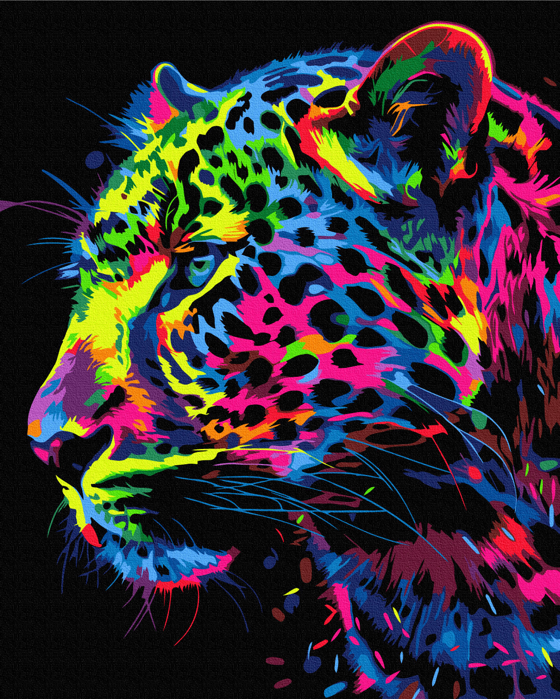 Maalaa numeroin Paint by numbers Colored leopard
