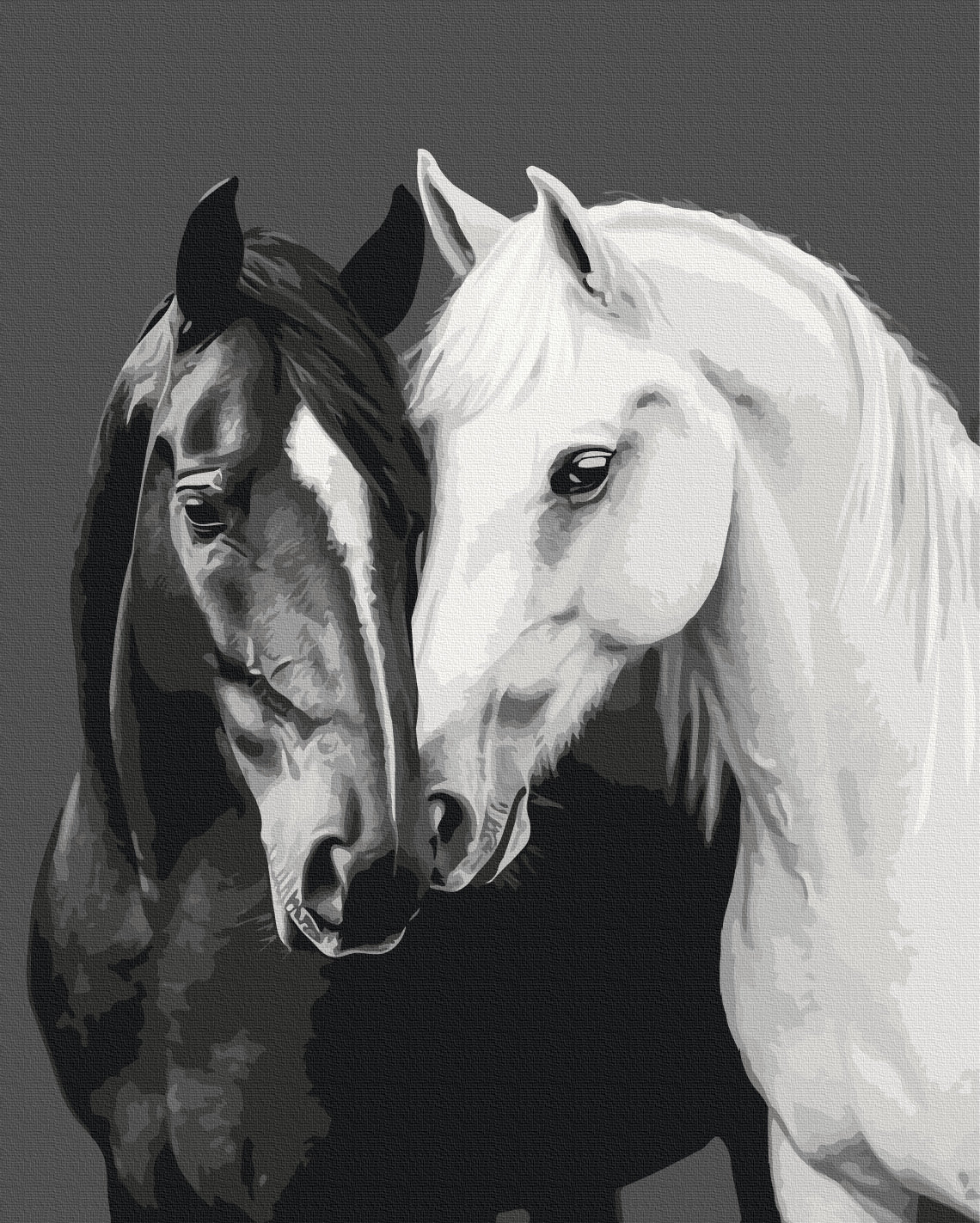 Maalaa numeroin Paint by numbers Black and white heart