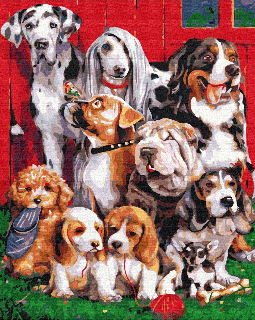 Maalaa numeroin Paint by numbers Pedigree company