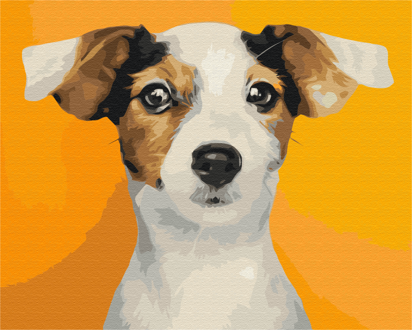 Maalaa numeroin Paint by numbers Portrait of a beloved dog