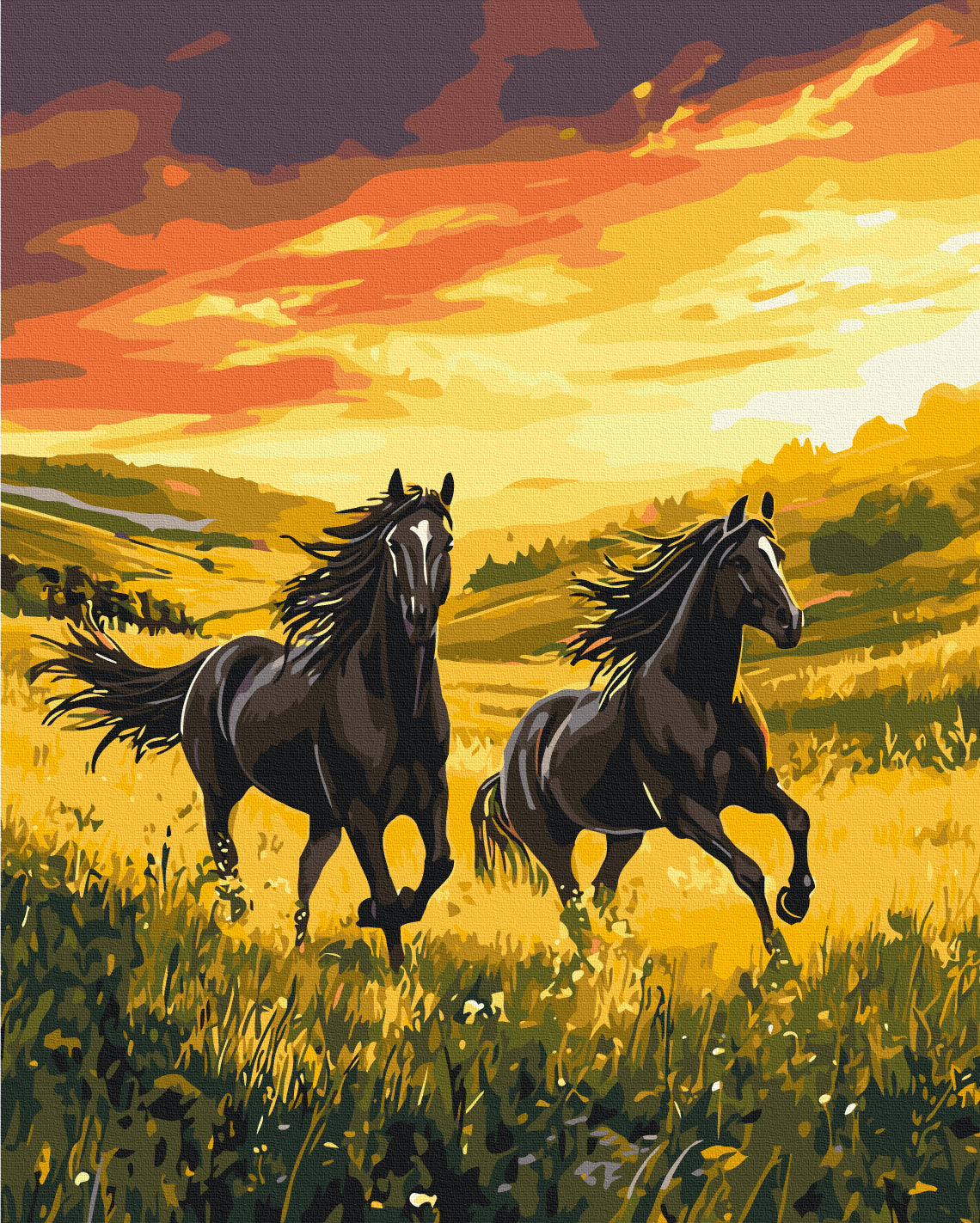 Maalaa numeroin Paint by numbers Unconquered running