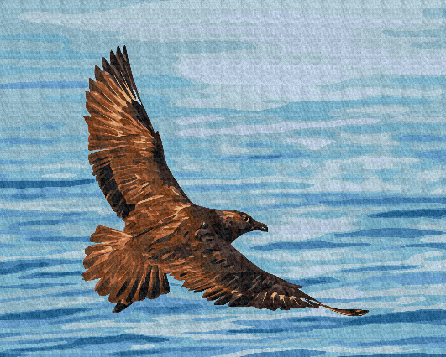 Maalaa numeroin Paint by numbers Flight of the South Polar Skua © Serhiy Glotov