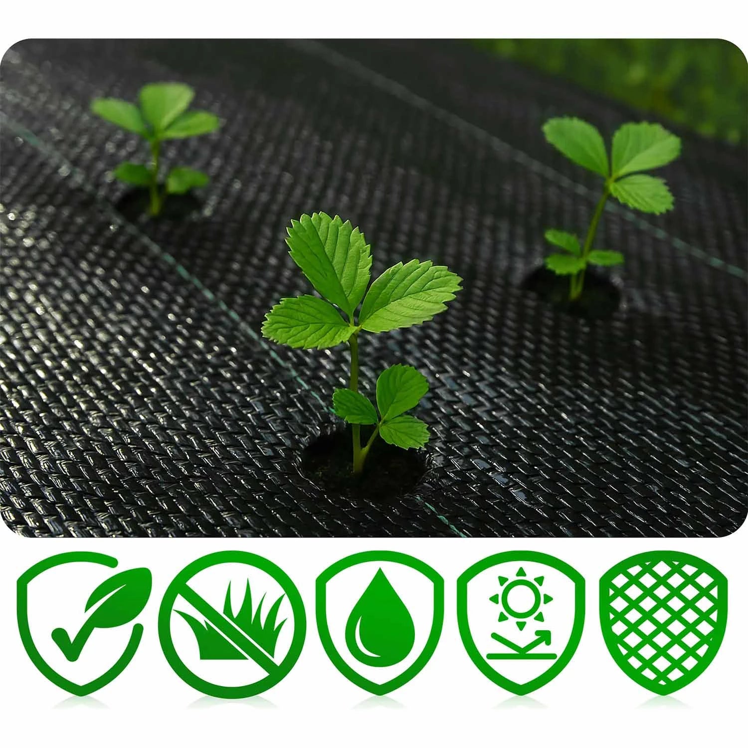 Agrotekstiili istutusalueella estämässä rikkaruohoja