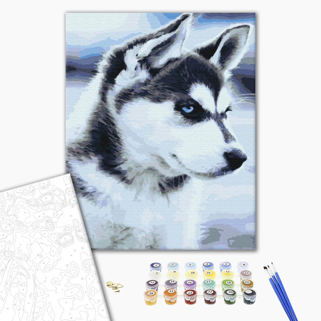 Paint by numbers