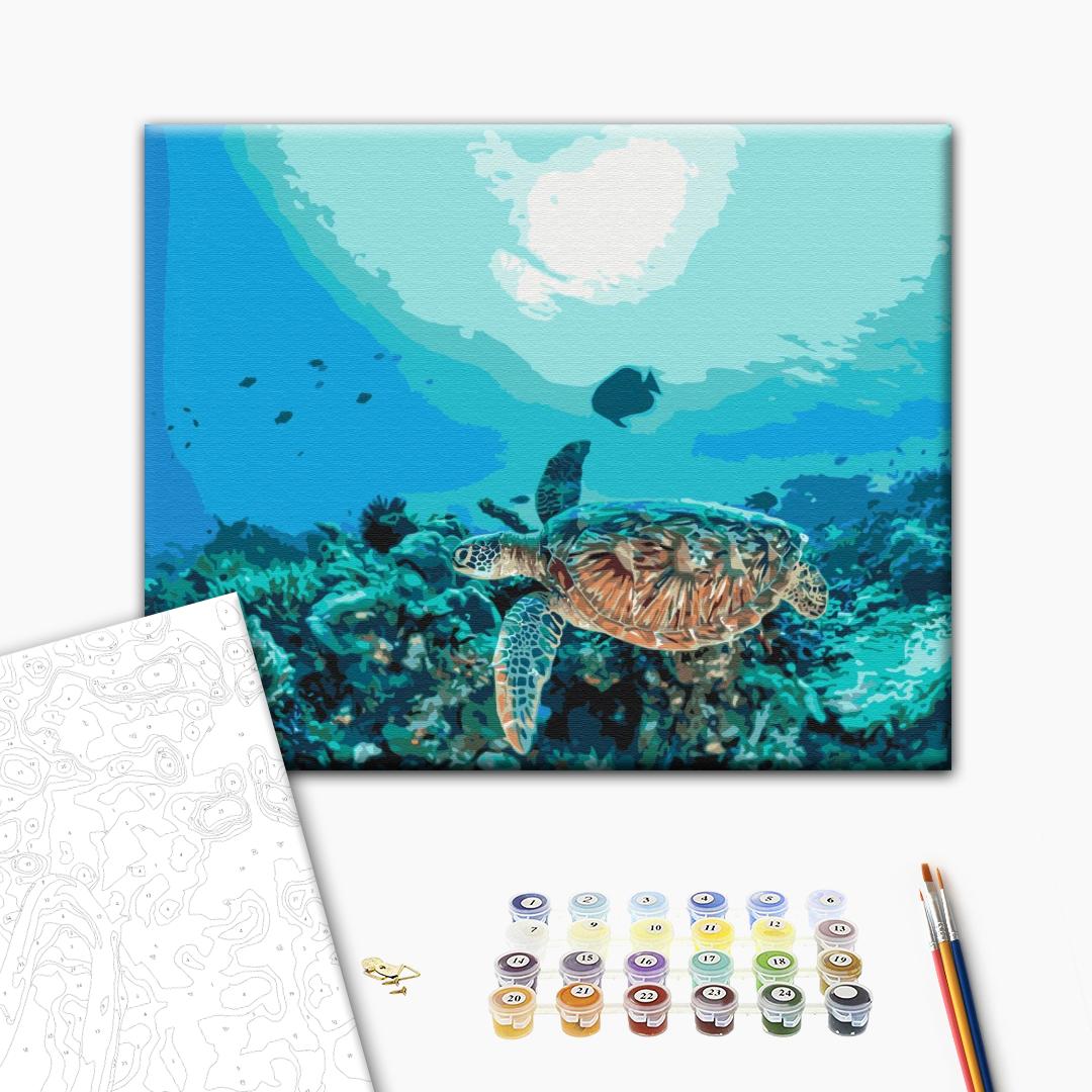 Paint by numbers