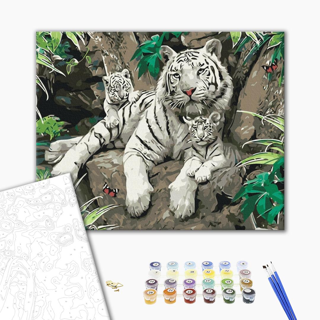 Paint by numbers