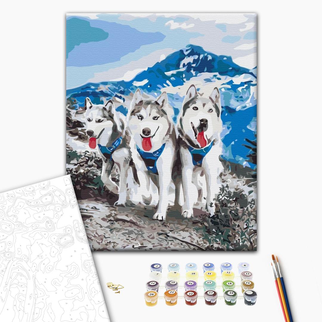 Paint by numbers