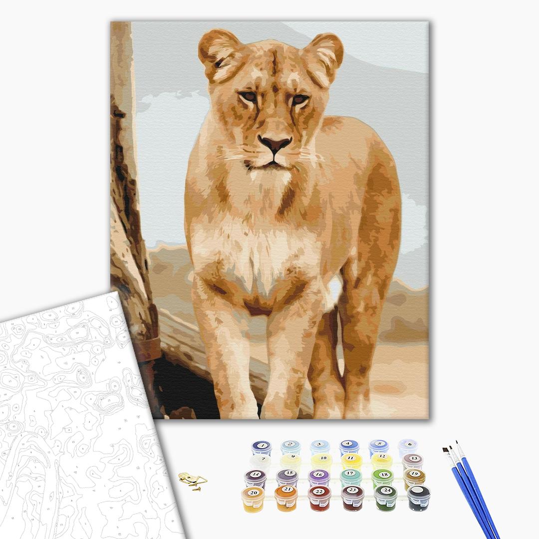 Paint by numbers
