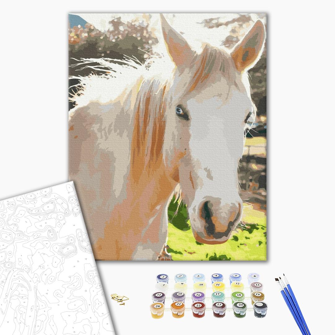Paint by numbers
