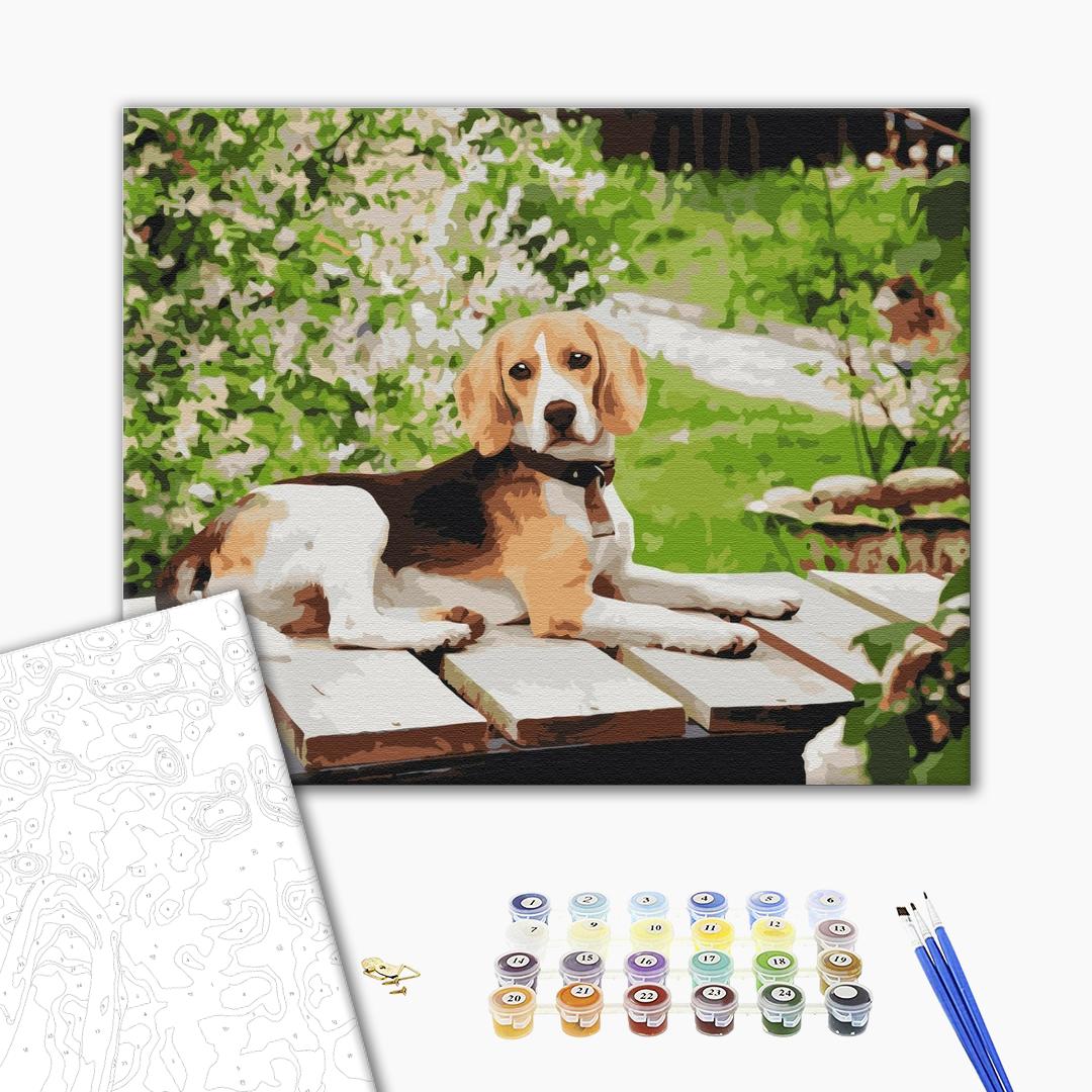 Paint by numbers