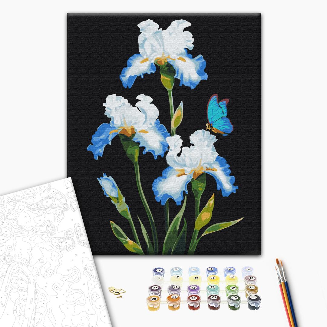 Paint by numbers