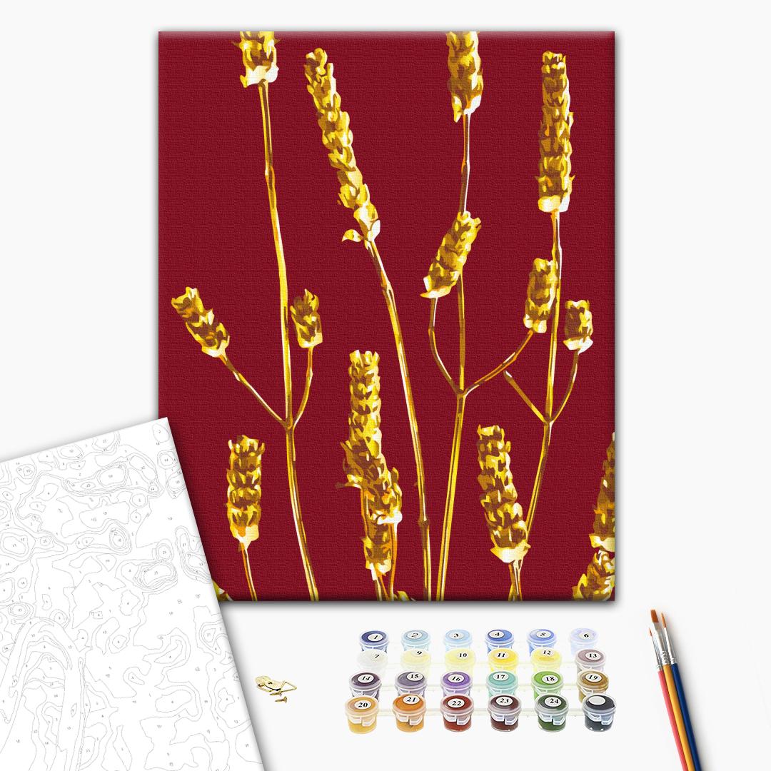 Paint by numbers