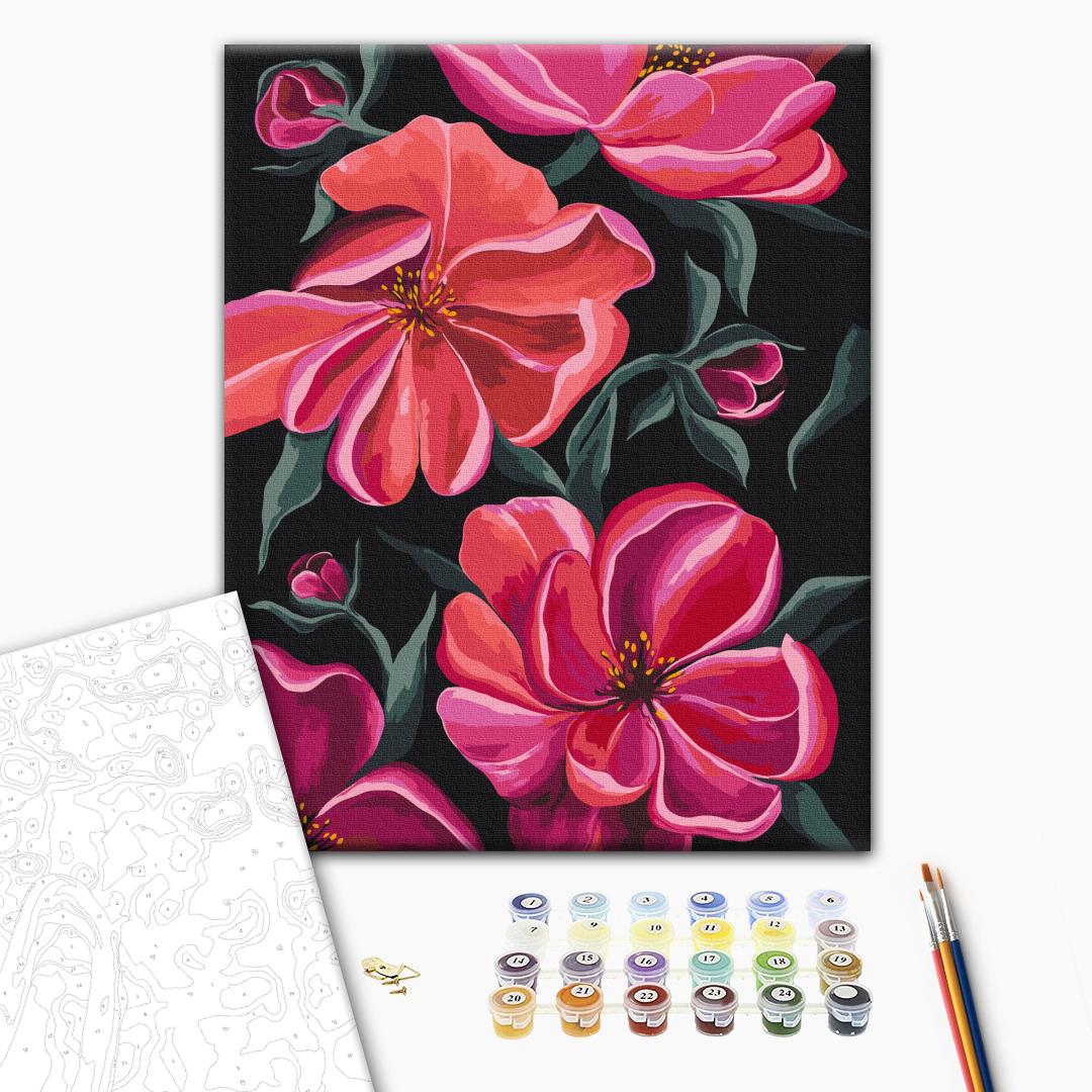 Paint by numbers