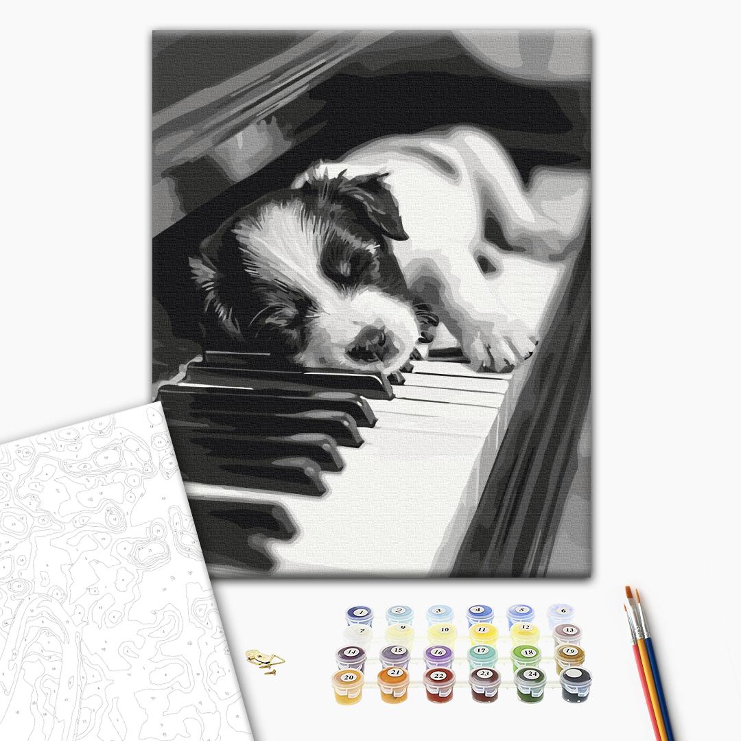Paint by numbers