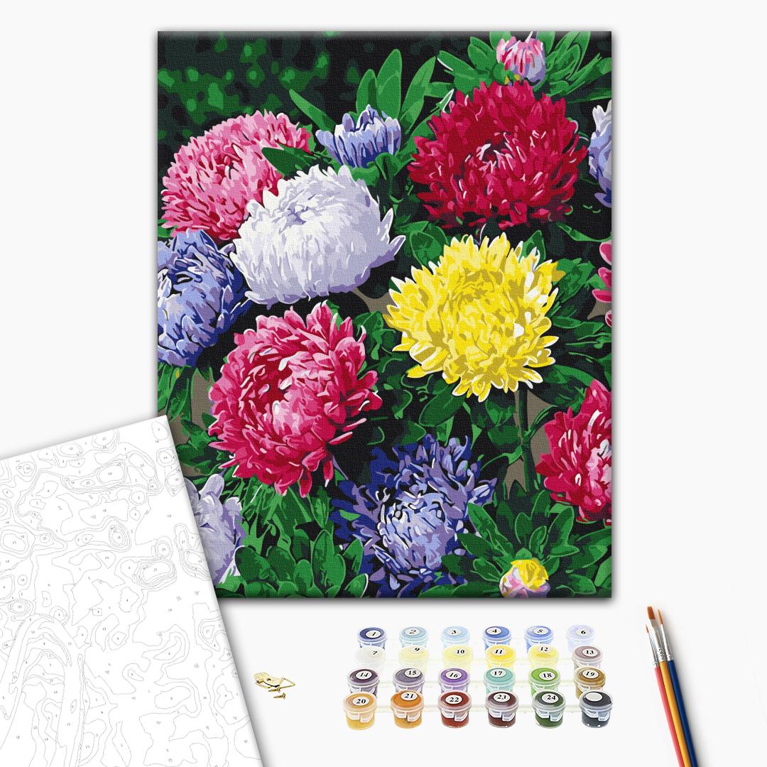 Paint by numbers