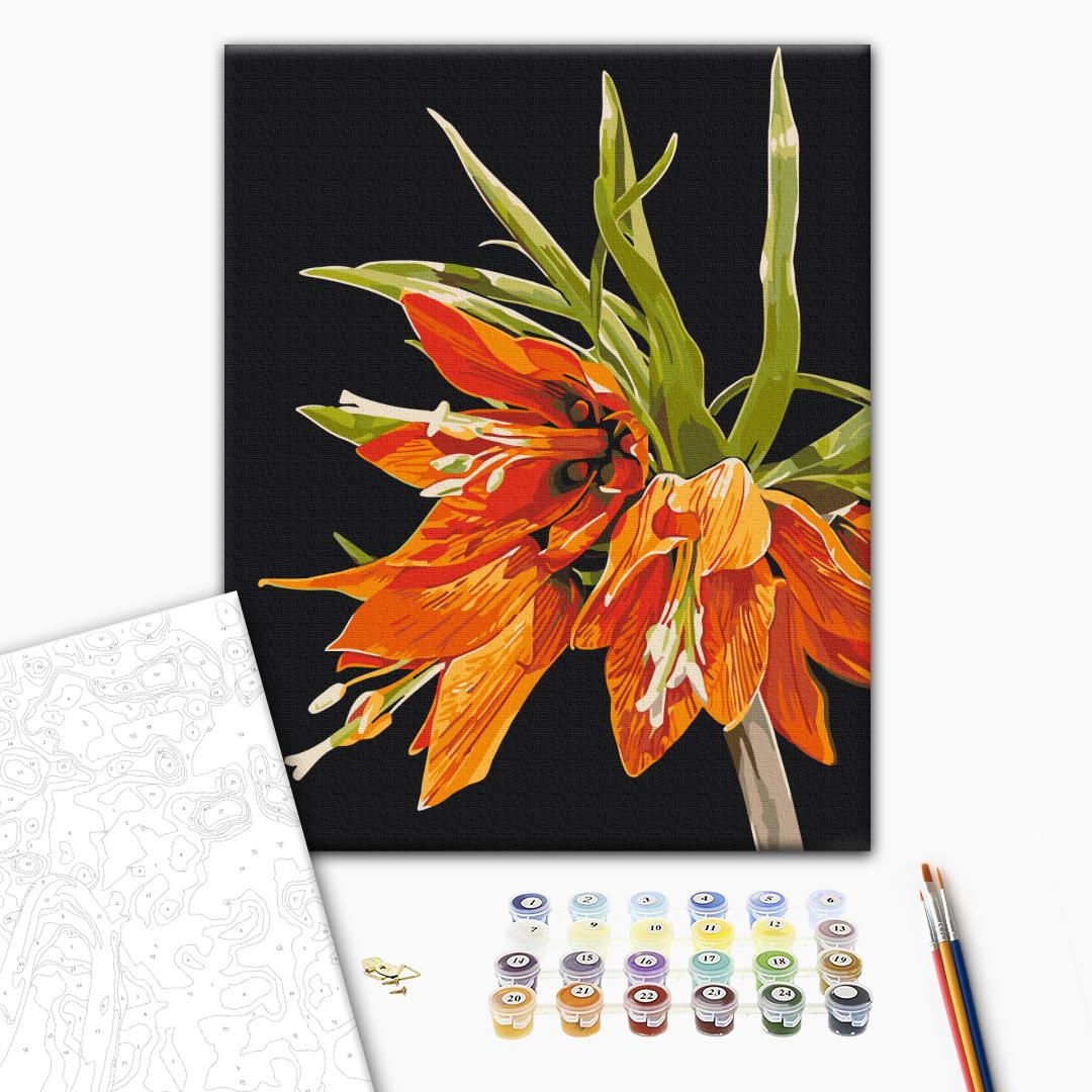 Paint by numbers
