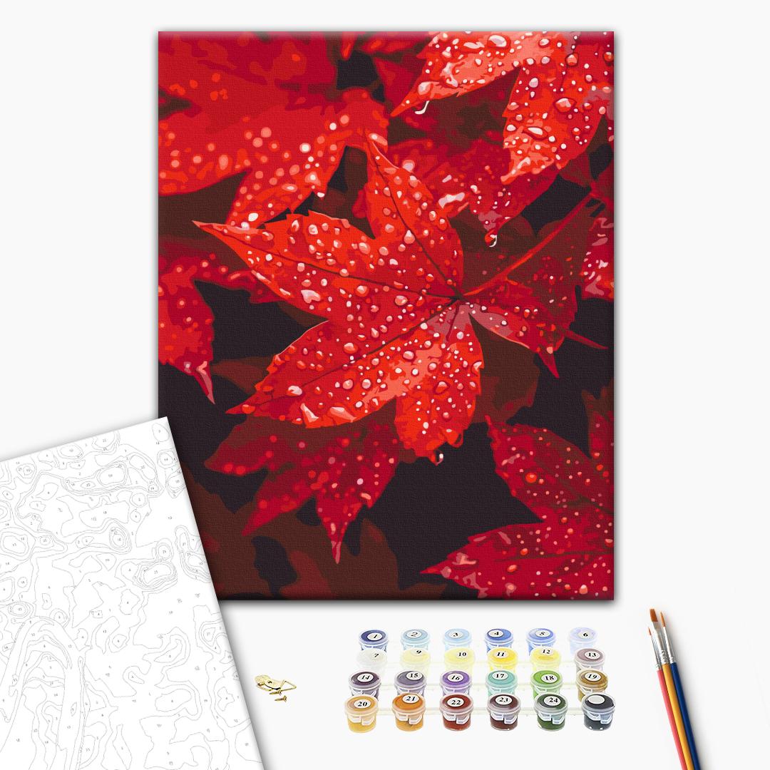 Paint by numbers