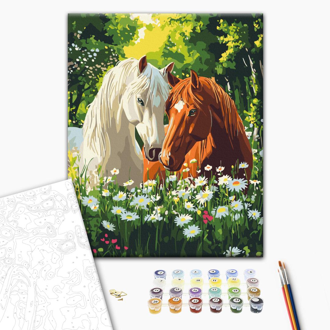 Paint by numbers