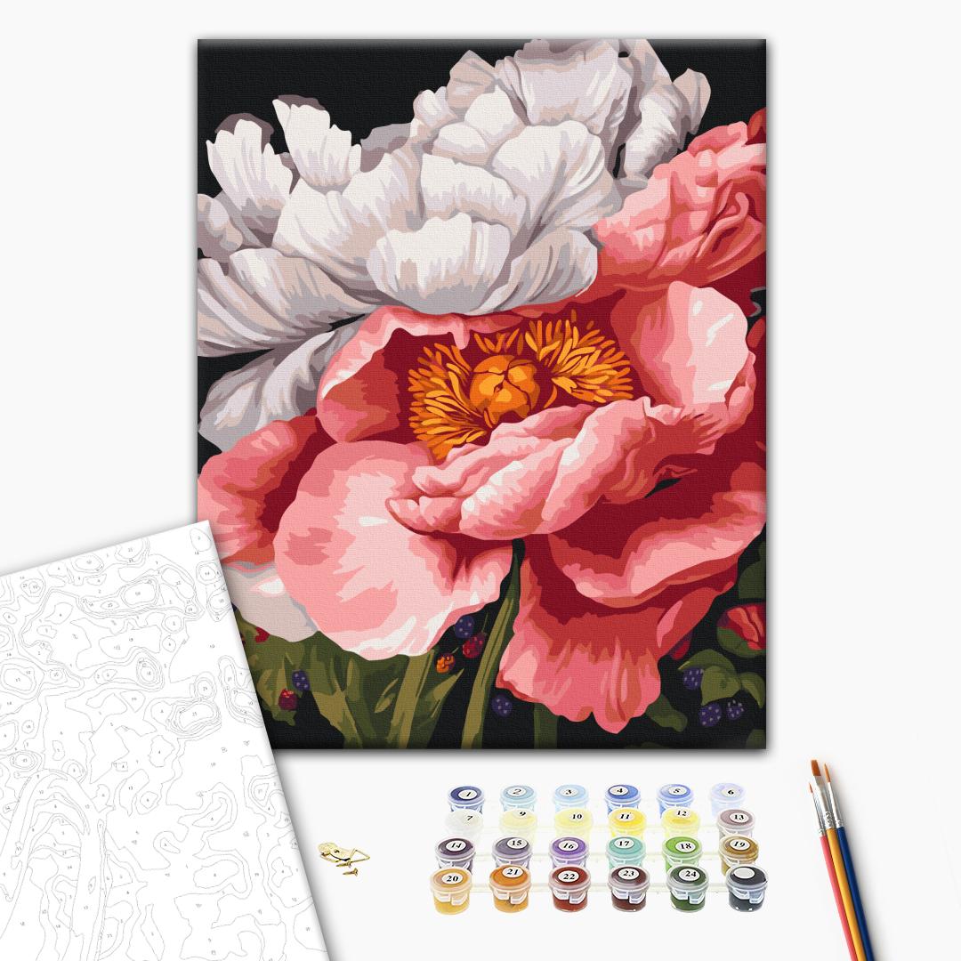 Paint by numbers