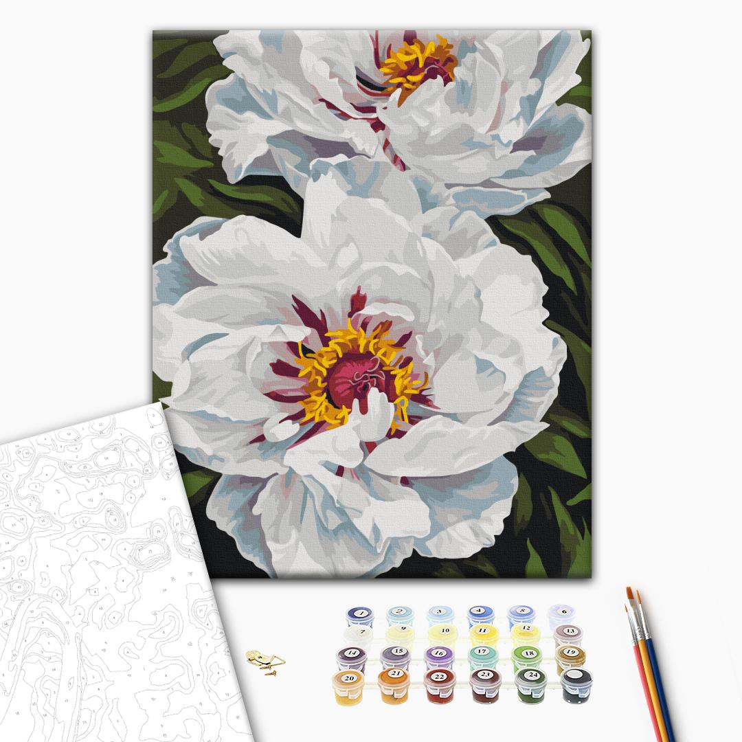 Paint by numbers