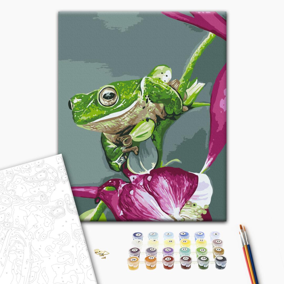 Paint by numbers