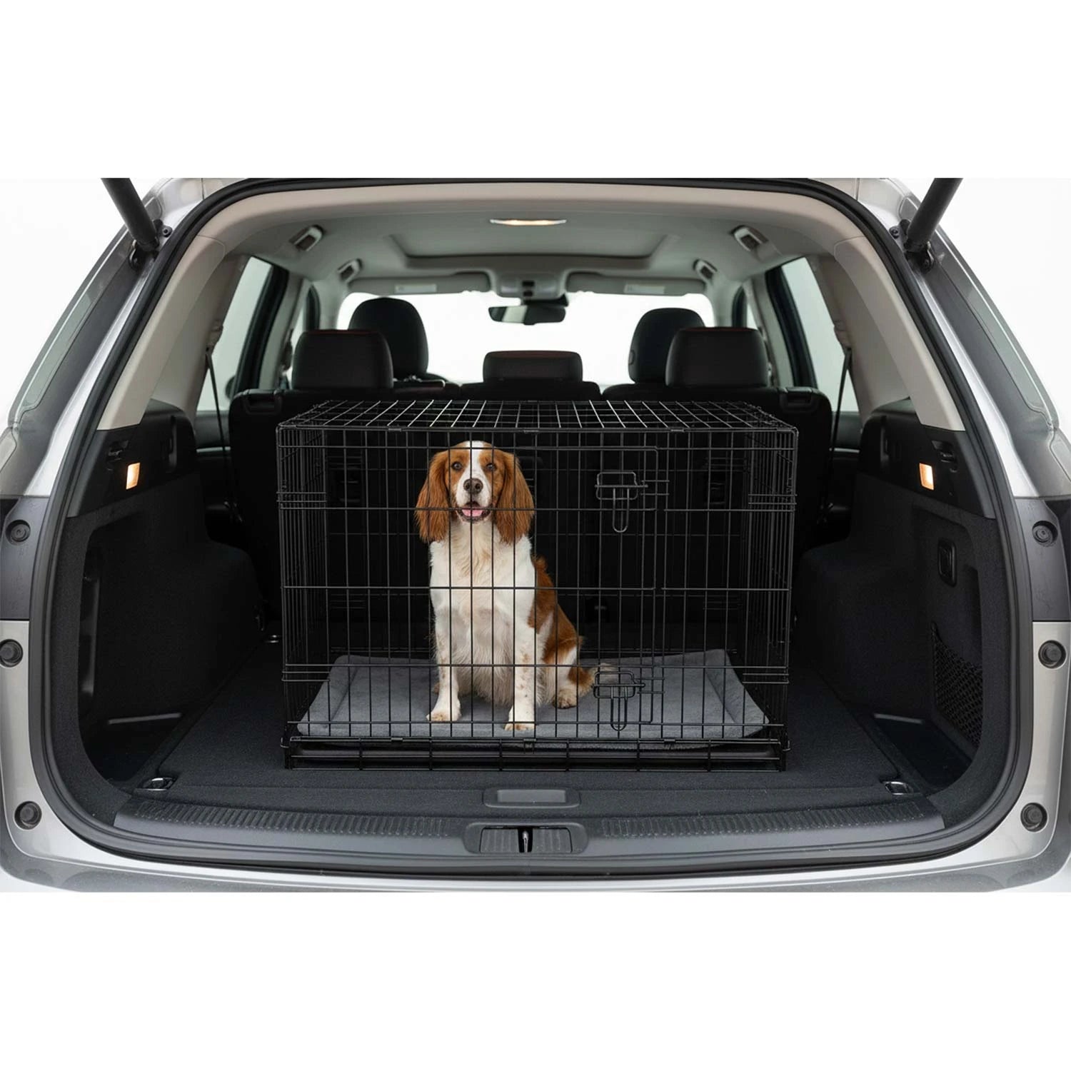 Koiran matkustushäkki turvalliseen automatkaan