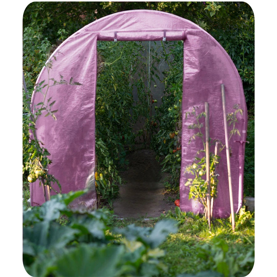 Pinkki kasvutunneli hyötykasveille