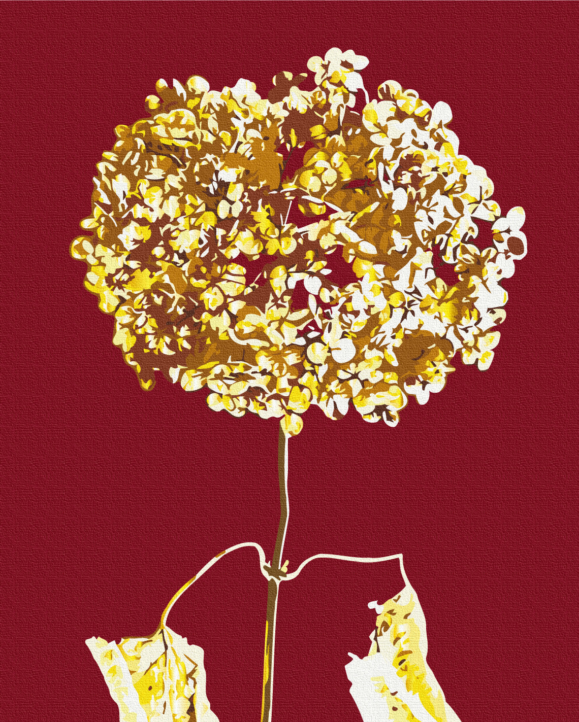 Maalaa numeroin Paint by numbers Golden hydrangea © Halyna Vitiuk