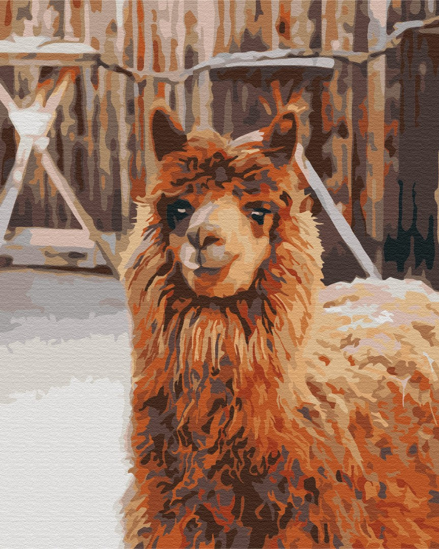 Maalaa numeroin Paint by numbers Llama on the farm
