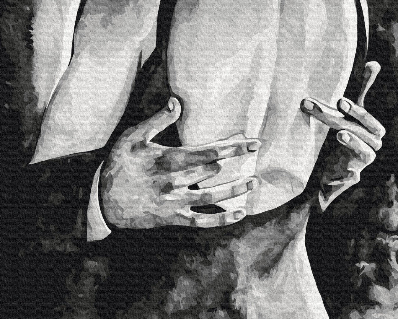 Maalaa numeroin Paint by numbers Body Language 5 © Anna Esthete