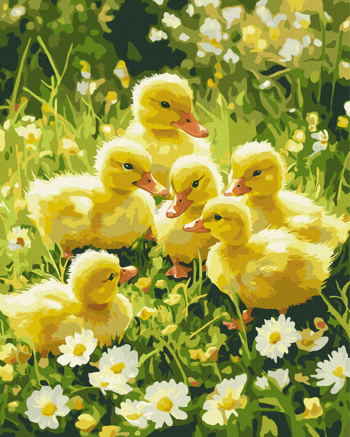 Maalaa numeroin Paint by numbers Cute fluffy things on the lawn