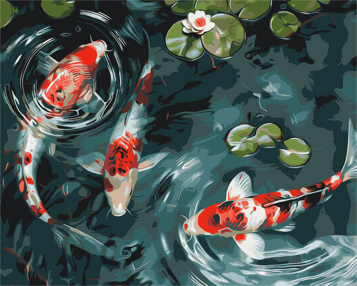 Maalaa numeroin Paint by numbers Koi carp