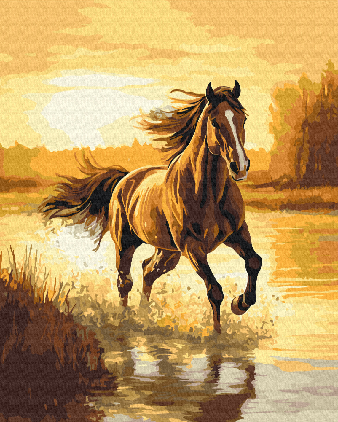 Maalaa numeroin Paint by numbers Wind in the mane