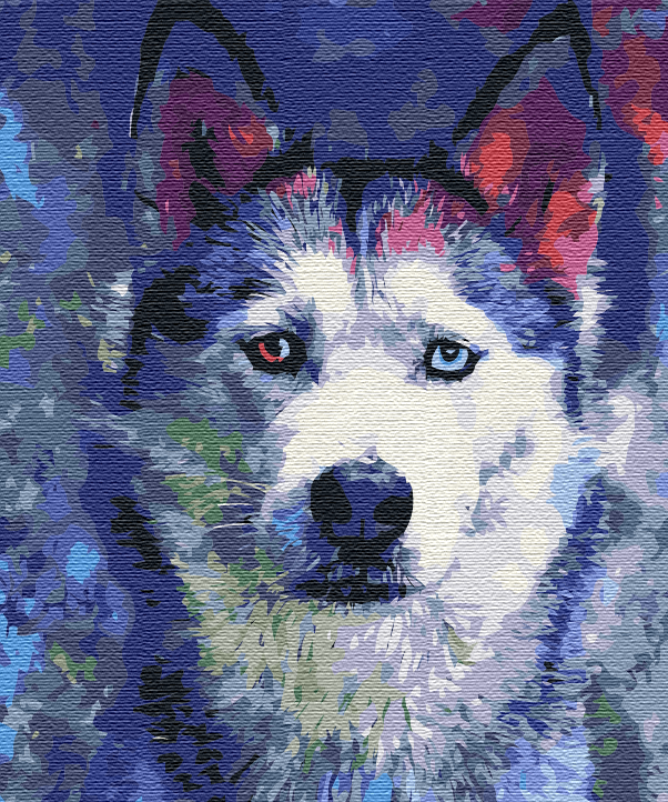 Maalaa numeroin Paint by numbers Husky look