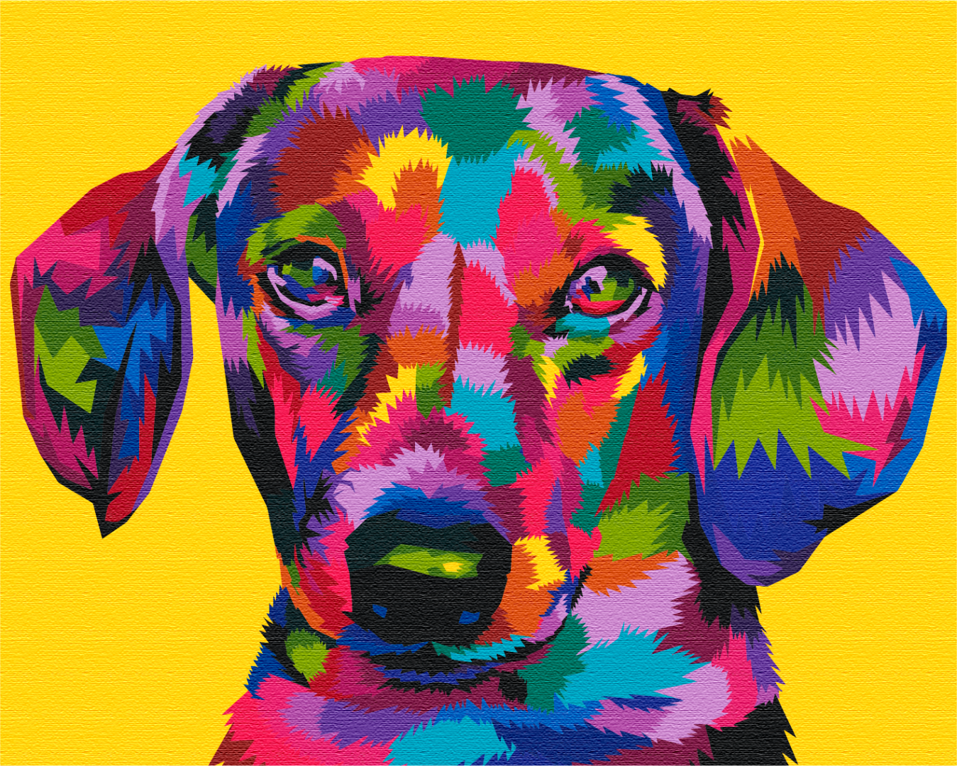 Maalaa numeroin Paint by numbers Rainbow dachshund