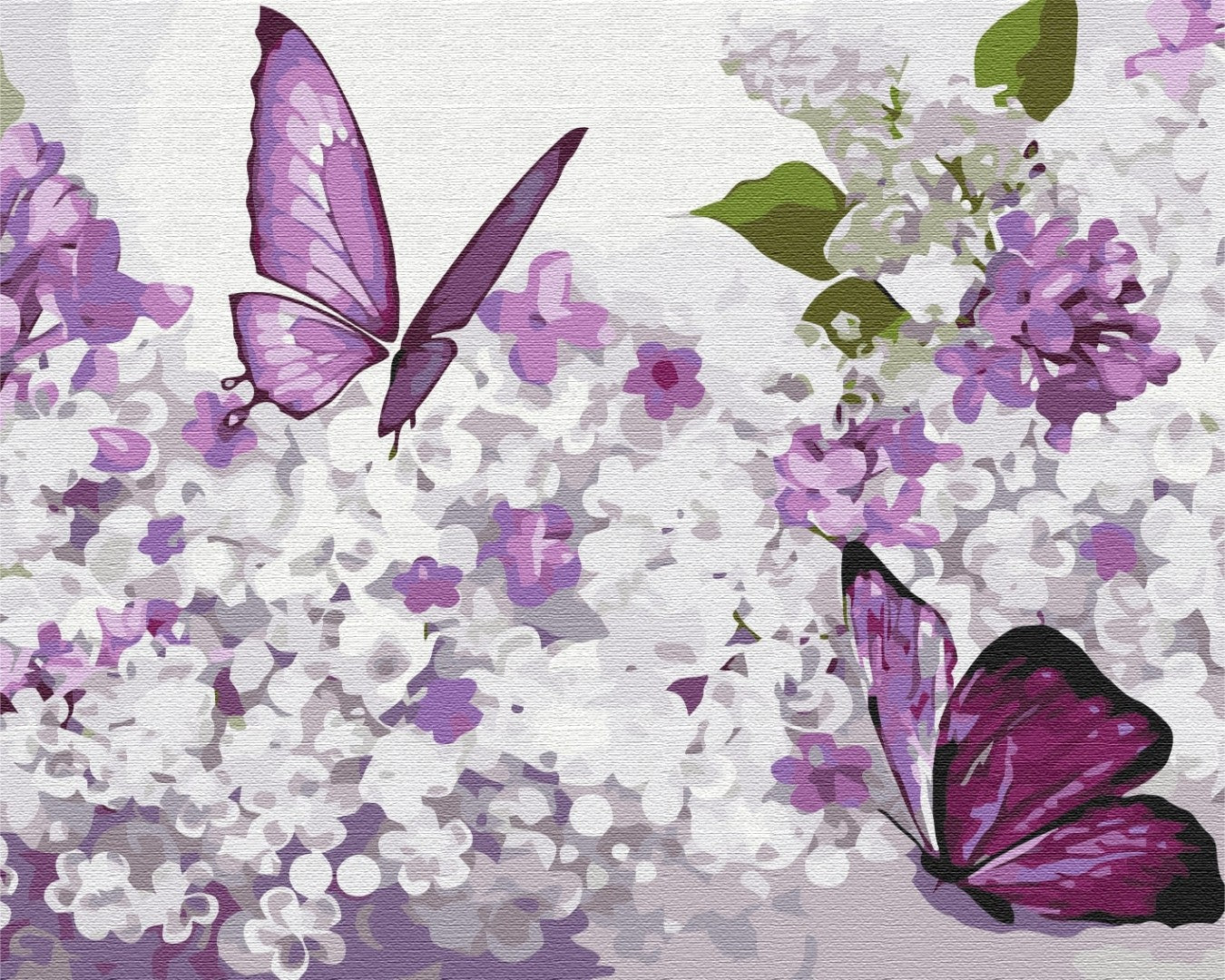 Maalaa numeroin Paint by numbers Purple butterflies