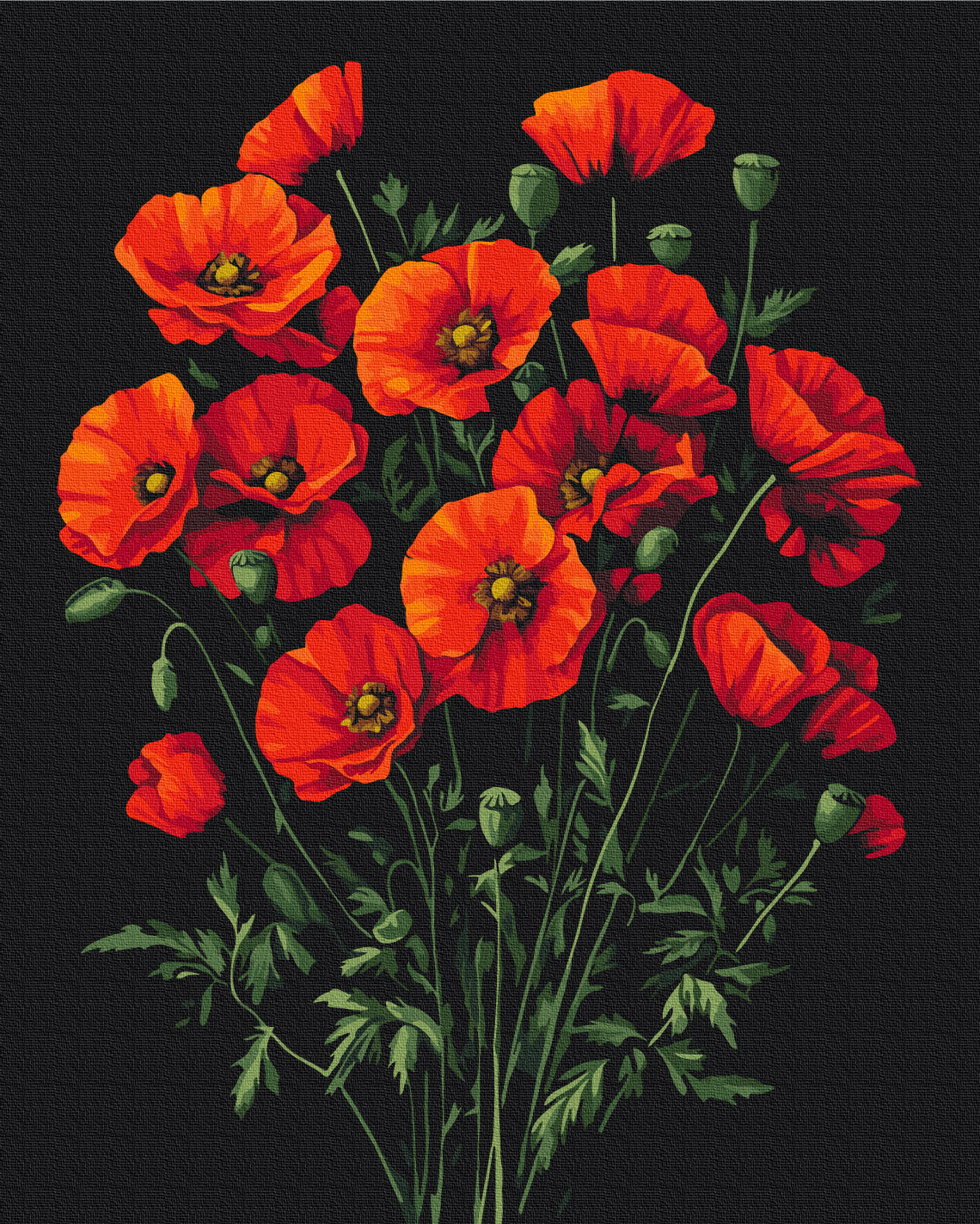 Maalaa numeroin Paint by numbers The charm of poppies