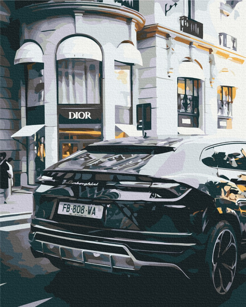 Maalaa numeroin Paint by numbers Luxurious life