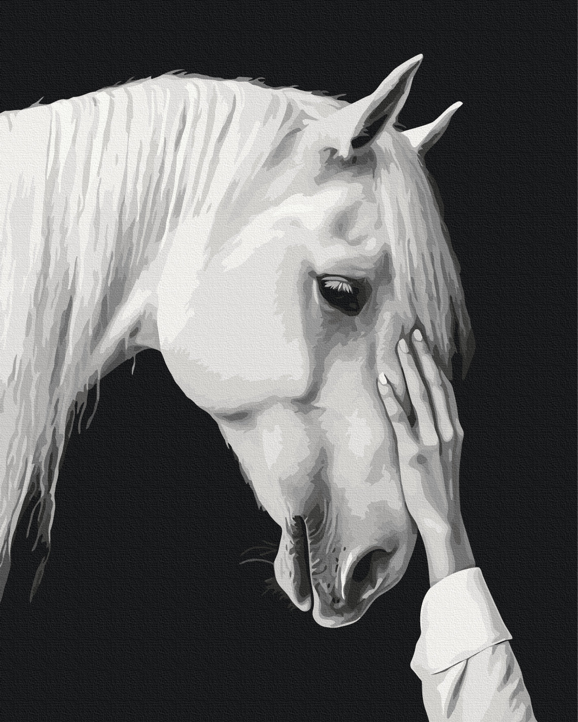 Maalaa numeroin Paint by numbers White mirage
