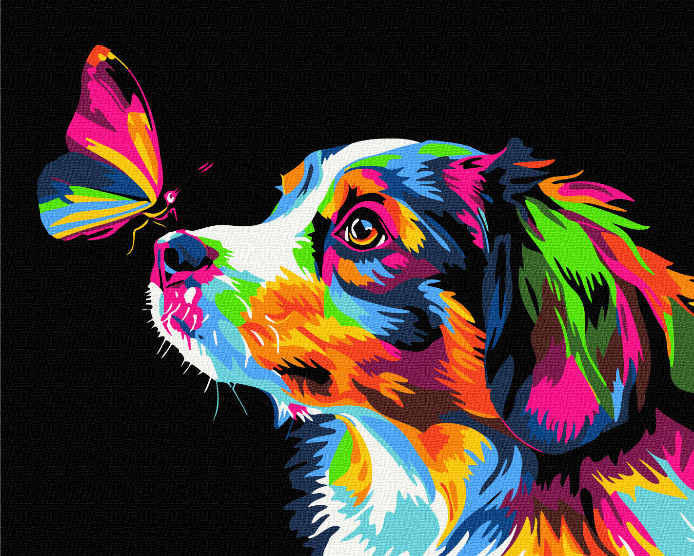 Maalaa numeroin Paint by numbers Color Touch