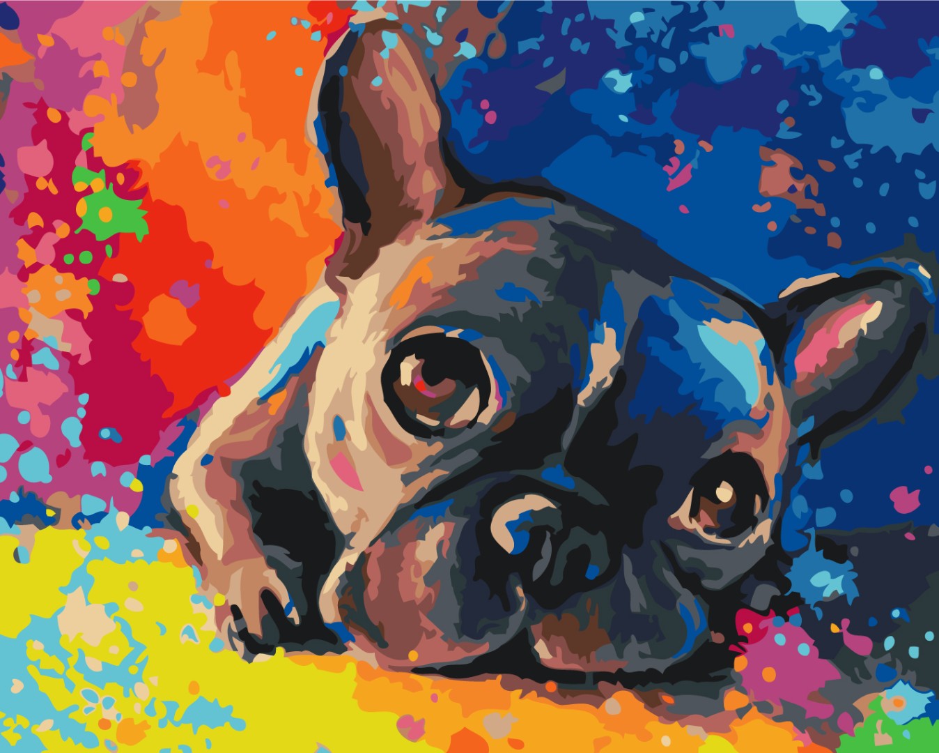 Maalaa numeroin Paint by numbers Colored bulldog