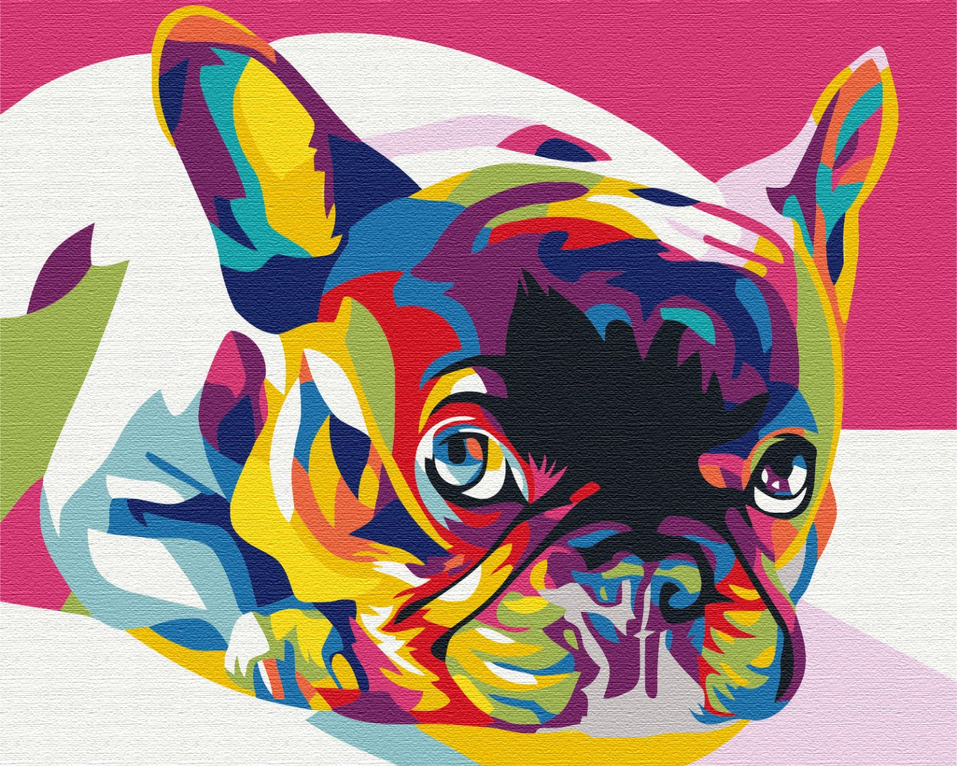 Maalaa numeroin Paint by numbers Rainbow french bulldog