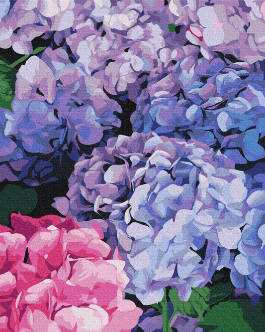 Maalaa numeroin Paint by numbers Bright hydrangea