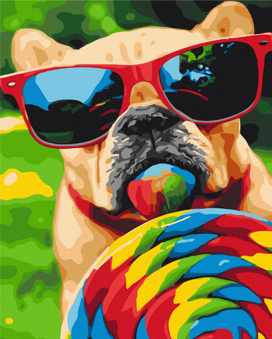 Maalaa numeroin Paint by numbers Summer dog