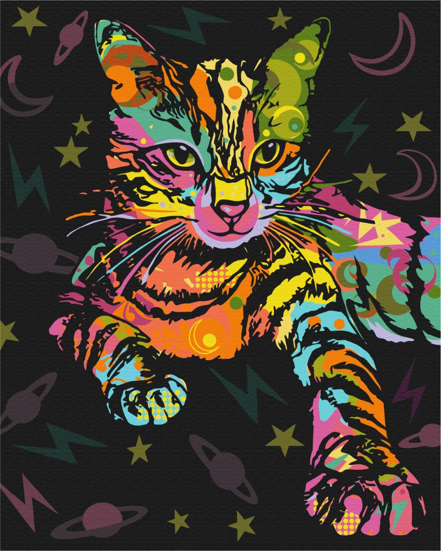 Maalaa numeroin Paint by numbers Space cat