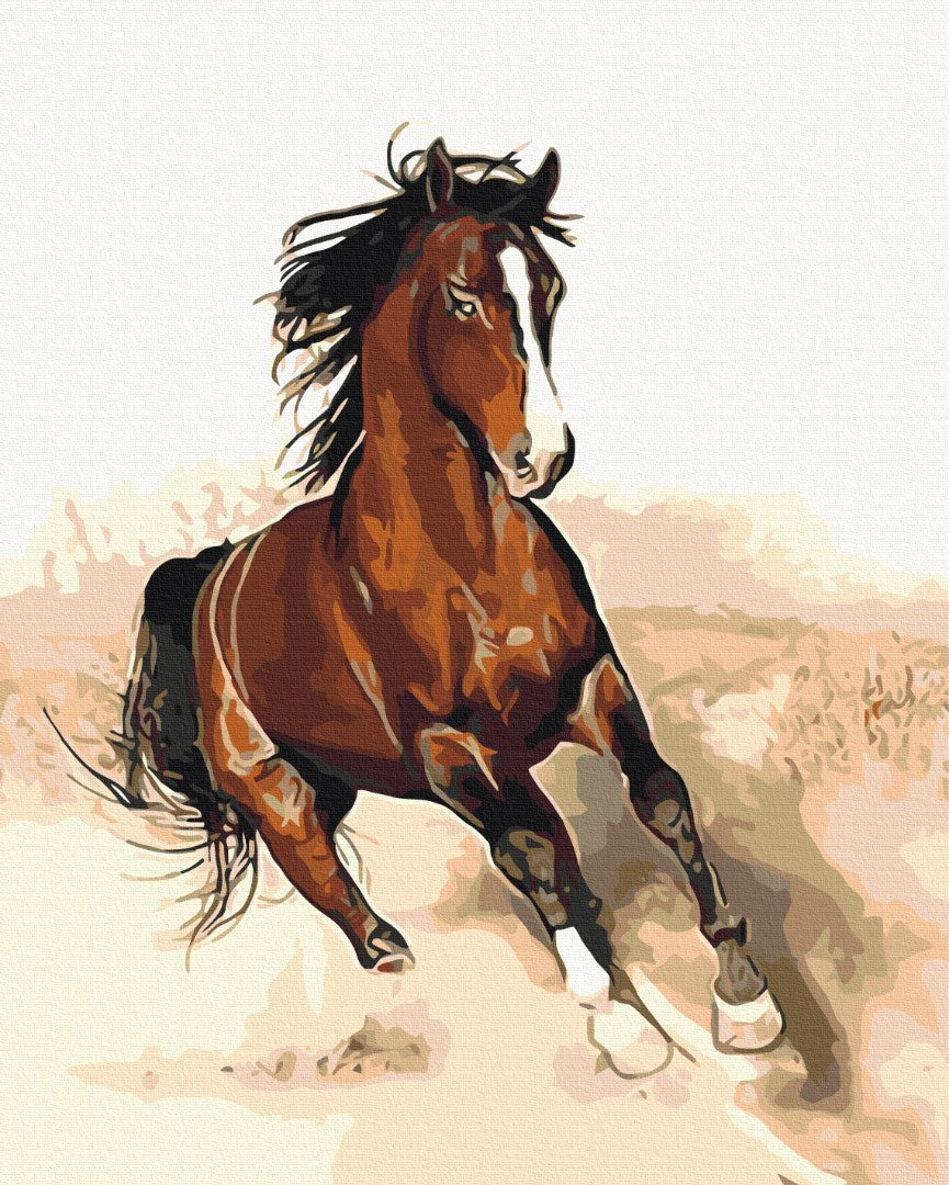 Maalaa numeroin Paint by numbers Horse in motion